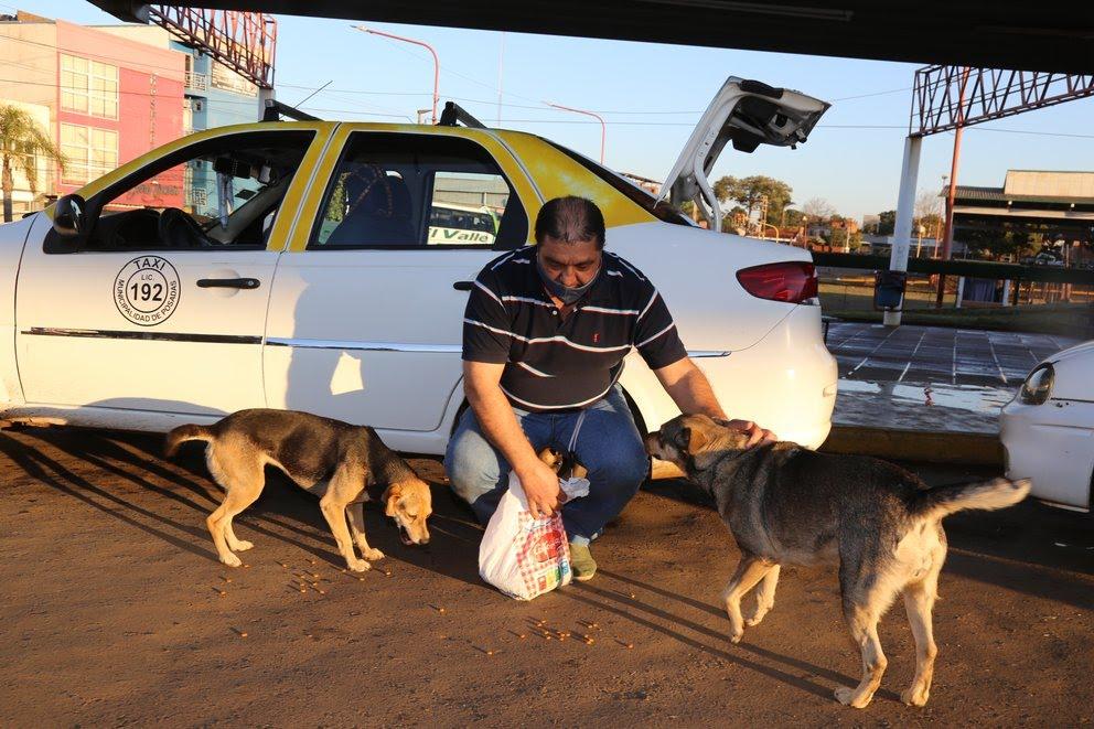 Apenas baja del taxi, Juan Carlos es recibido por los perritos de la terminal (Natalia Guerrero/ El Territorio)