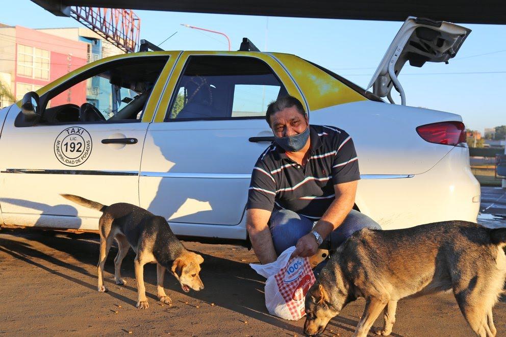 Juan Carlos maneja el taxi 192 de la terminal. Con cada viaje, colaboran con los alimentos de los cuatro perros (Natalia Guerrero/ El Territorio)