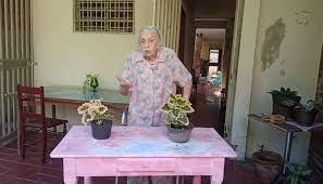 Con 101 años, Ana Emilia enseña gramática y ortografía en Barquisimeto - El  Pitazo