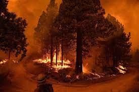 Cambio climático: catástrofes en serie | Mundua | Naiz